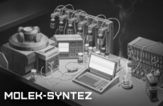 MOLEK-SYNTEZ BI